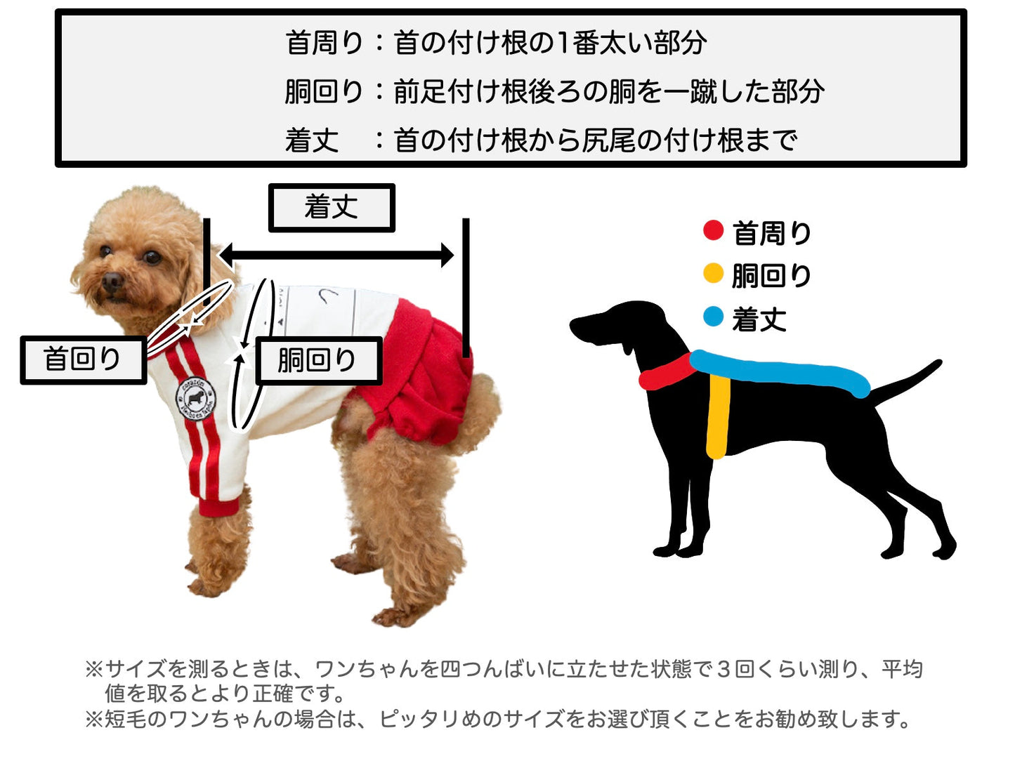 【赤】ゼッケン付き体操着 - コットン100%