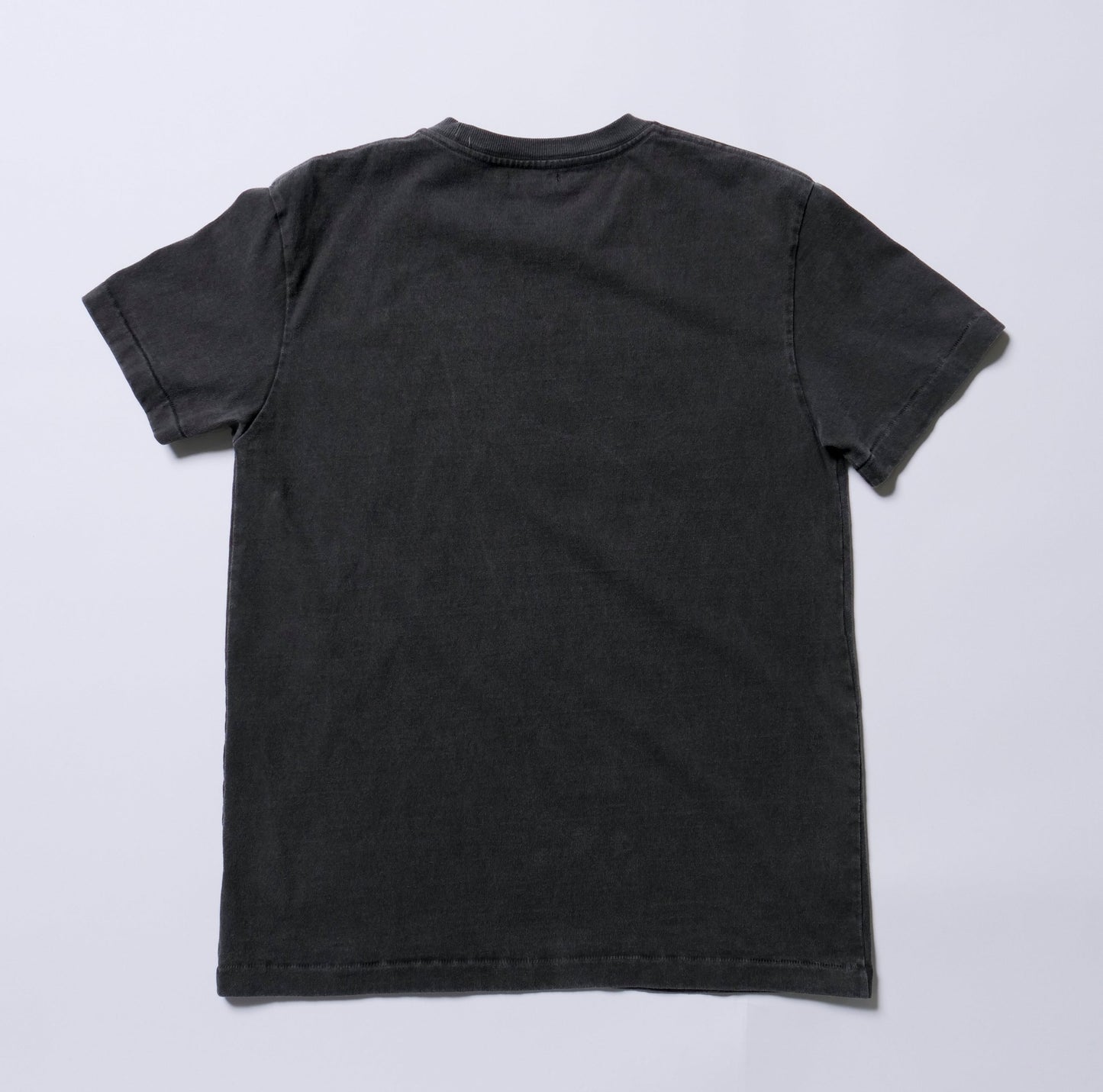 DRY COTTON JERSEY S/STEE(BEAR)