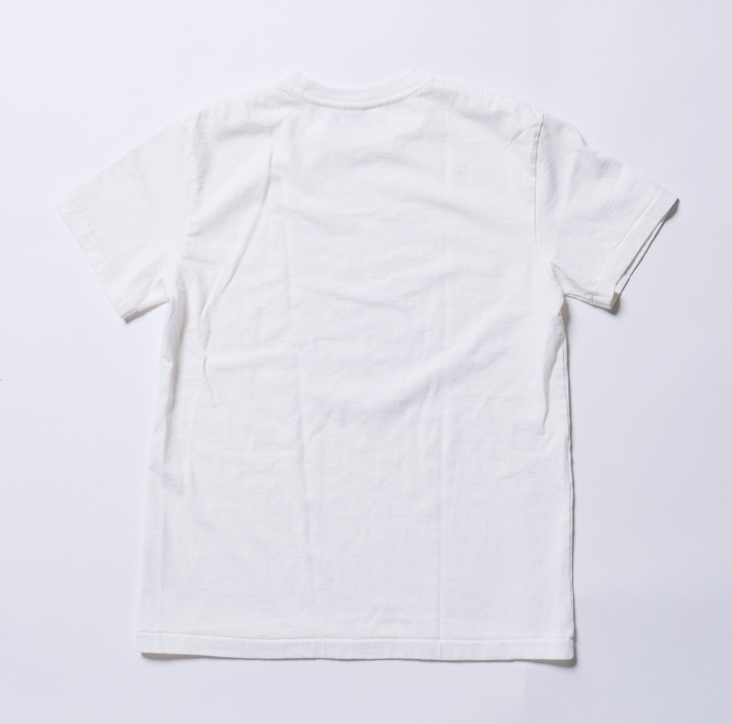 DRY COTTON JERSEY S/STEE(BEAR)