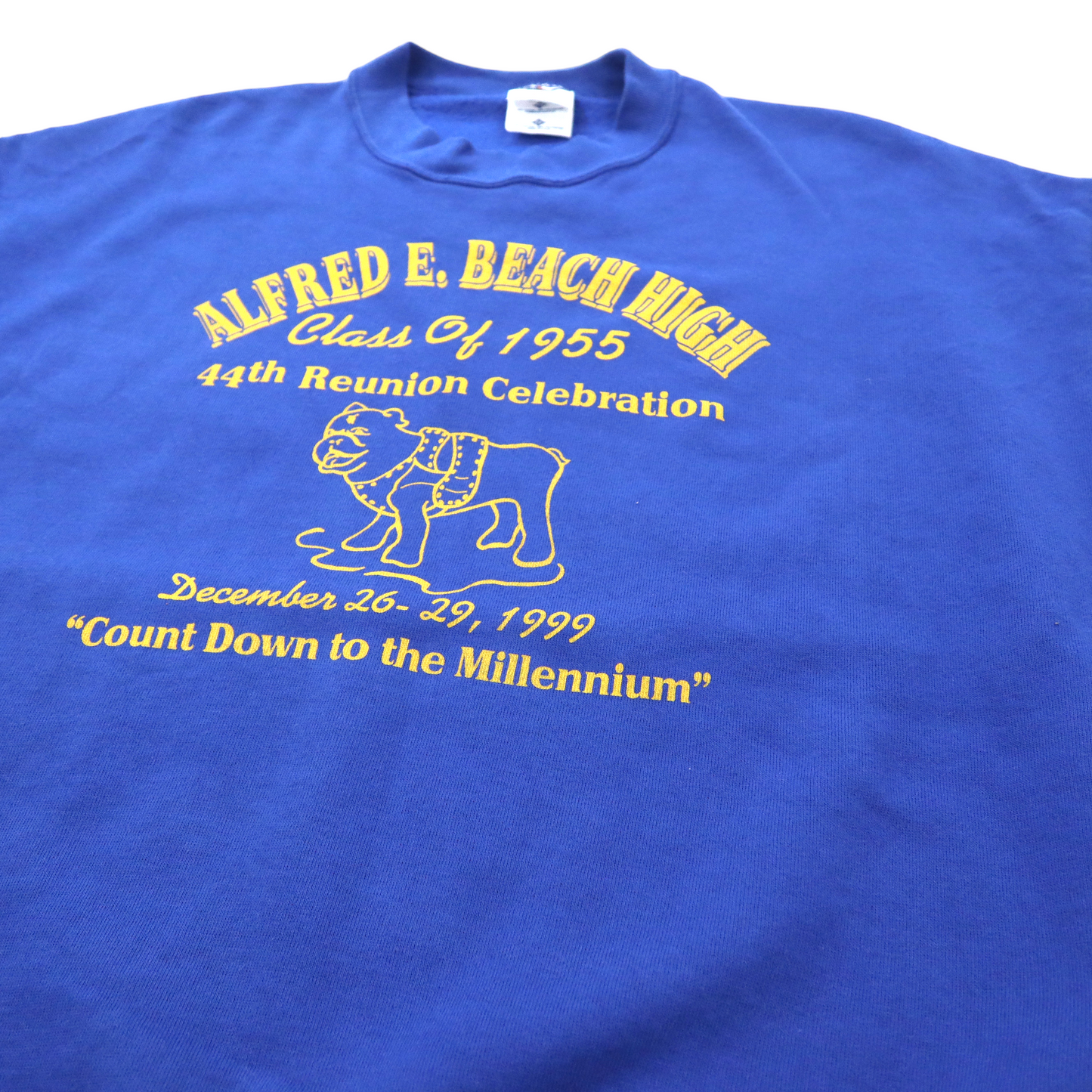 USA製 JERZEES ビッグサイズ カレッジプリント スウェット 2X ブルー コットン 裏起毛 ALFRED E. BEACH HIGH 90年代