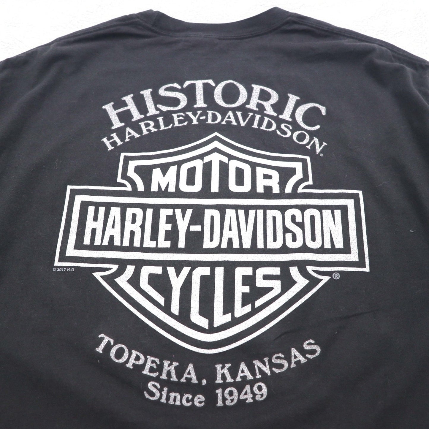 HARLEY DAVIDSON 両面プリント Tシャツ XL ブラック コットン BAD DOG