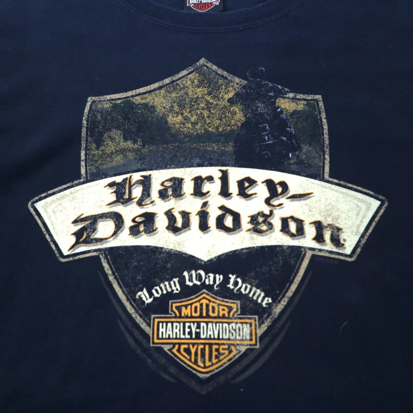 HARLEY DAVIDSON ロゴプリント Tシャツ XL ブラック コットン Hanes BEEFY-T ビッグサイズ THUNDER TOWER