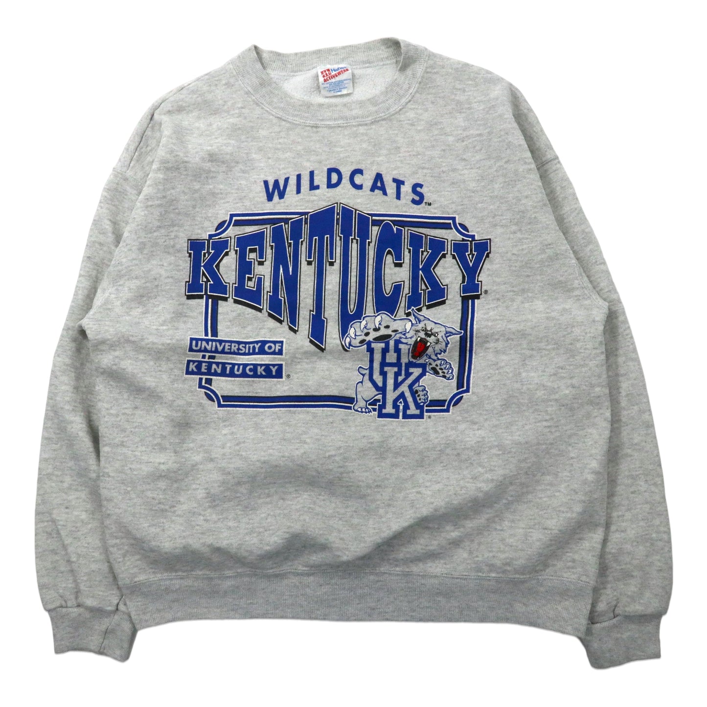USA製 90年代 Hanes カレッジプリントスウェット XL グレー コットン 裏起毛 WILD CATS KENTUCKY