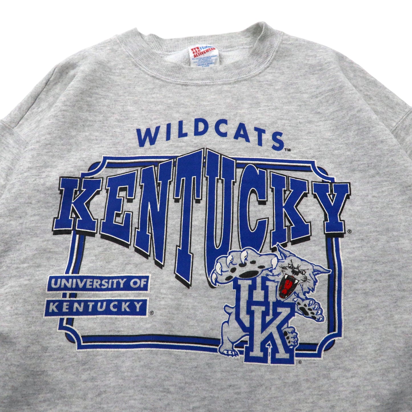 USA製 90年代 Hanes カレッジプリントスウェット XL グレー コットン 裏起毛 WILD CATS KENTUCKY