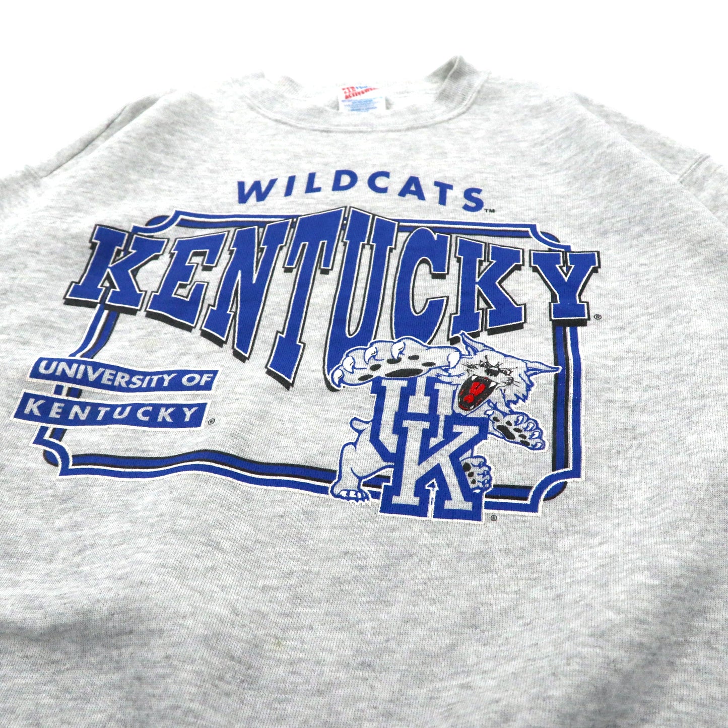 USA製 90年代 Hanes カレッジプリントスウェット XL グレー コットン 裏起毛 WILD CATS KENTUCKY