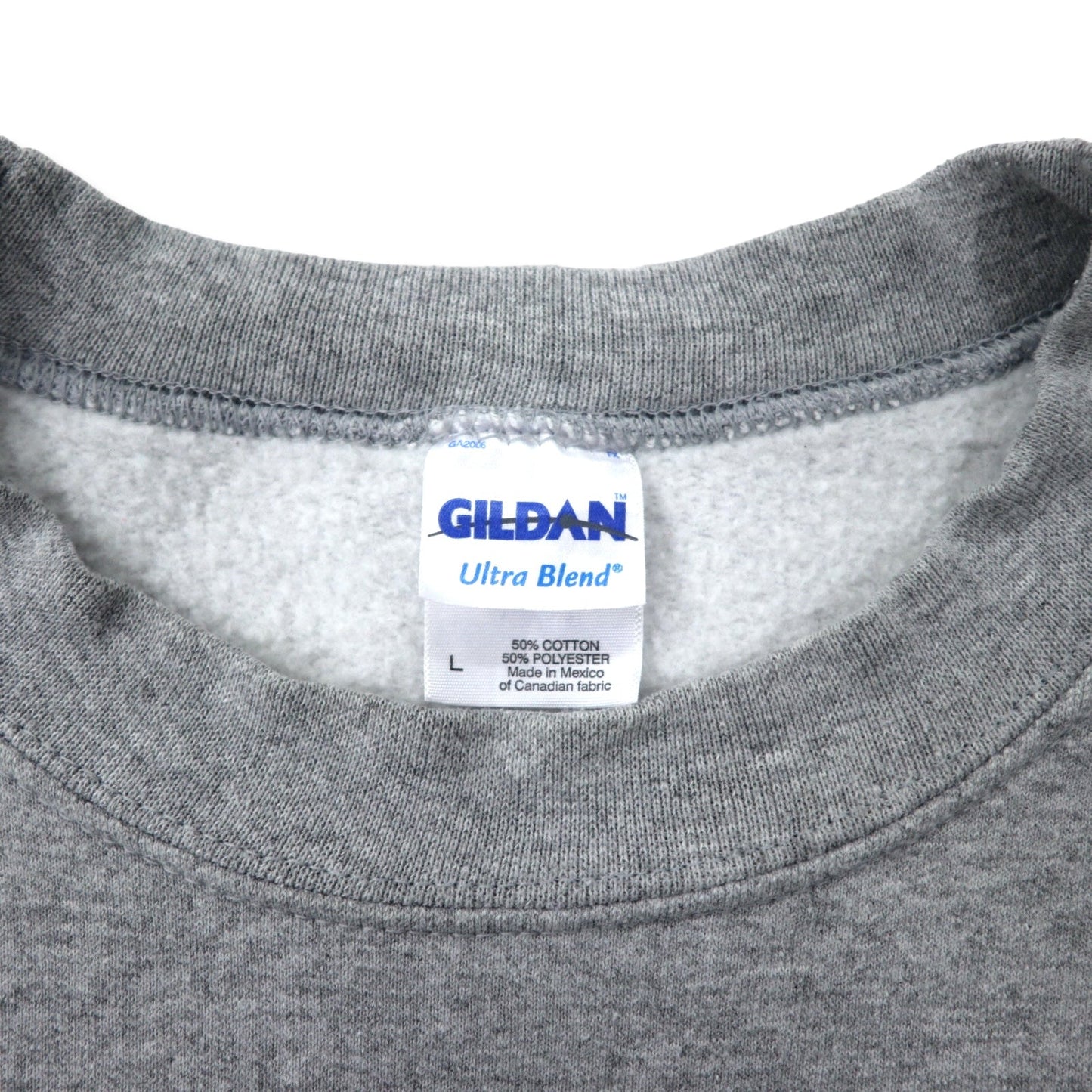 GILDAN 00年代 カレッジ プリント スウェット L グレー コットン 裏起毛 FANNING UNIVERSITY ビッグサイズ メキシコ製