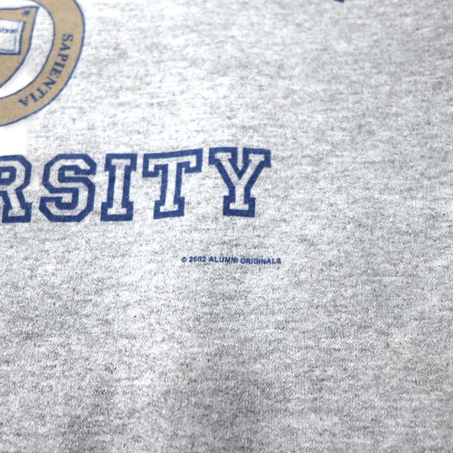 GILDAN 00年代 カレッジ プリント スウェット L グレー コットン 裏起毛 FANNING UNIVERSITY ビッグサイズ メキシコ製