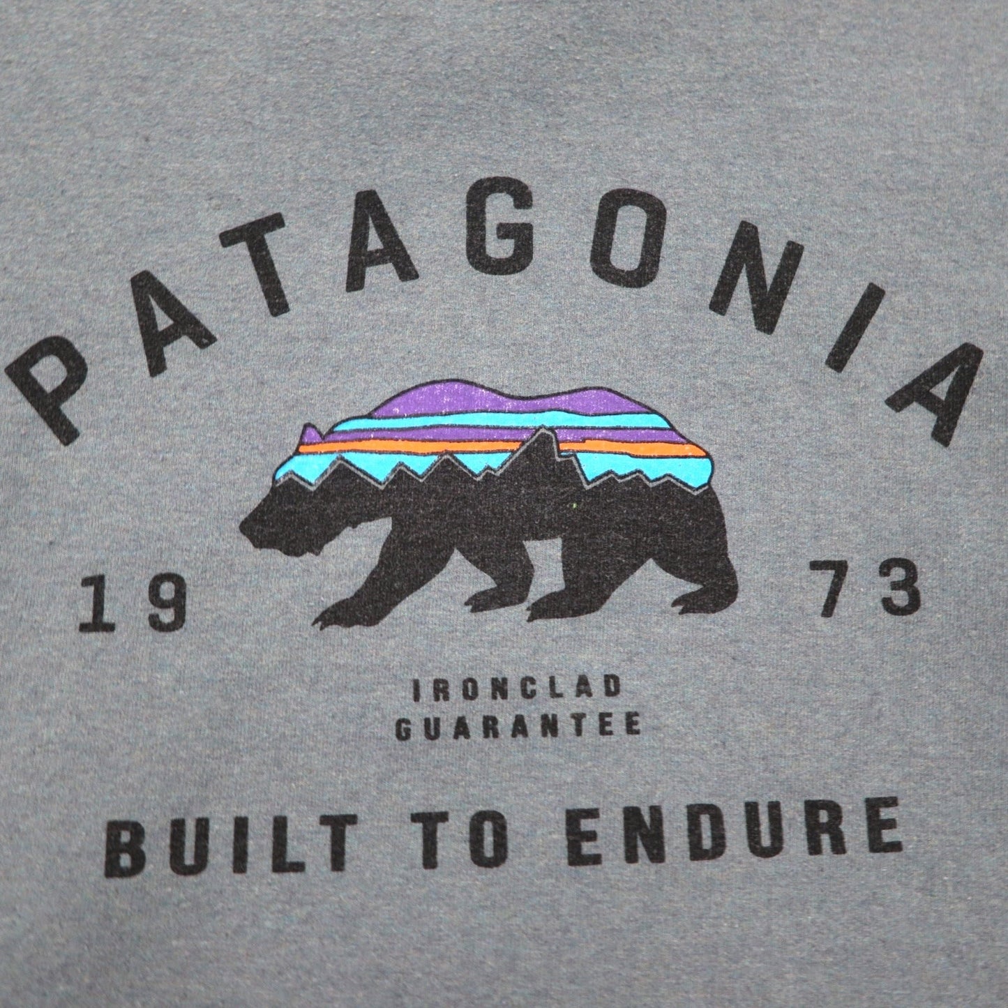 patagonia ベア プリント クルー スウェットシャツ 2XL ブルー 裏起毛 39544