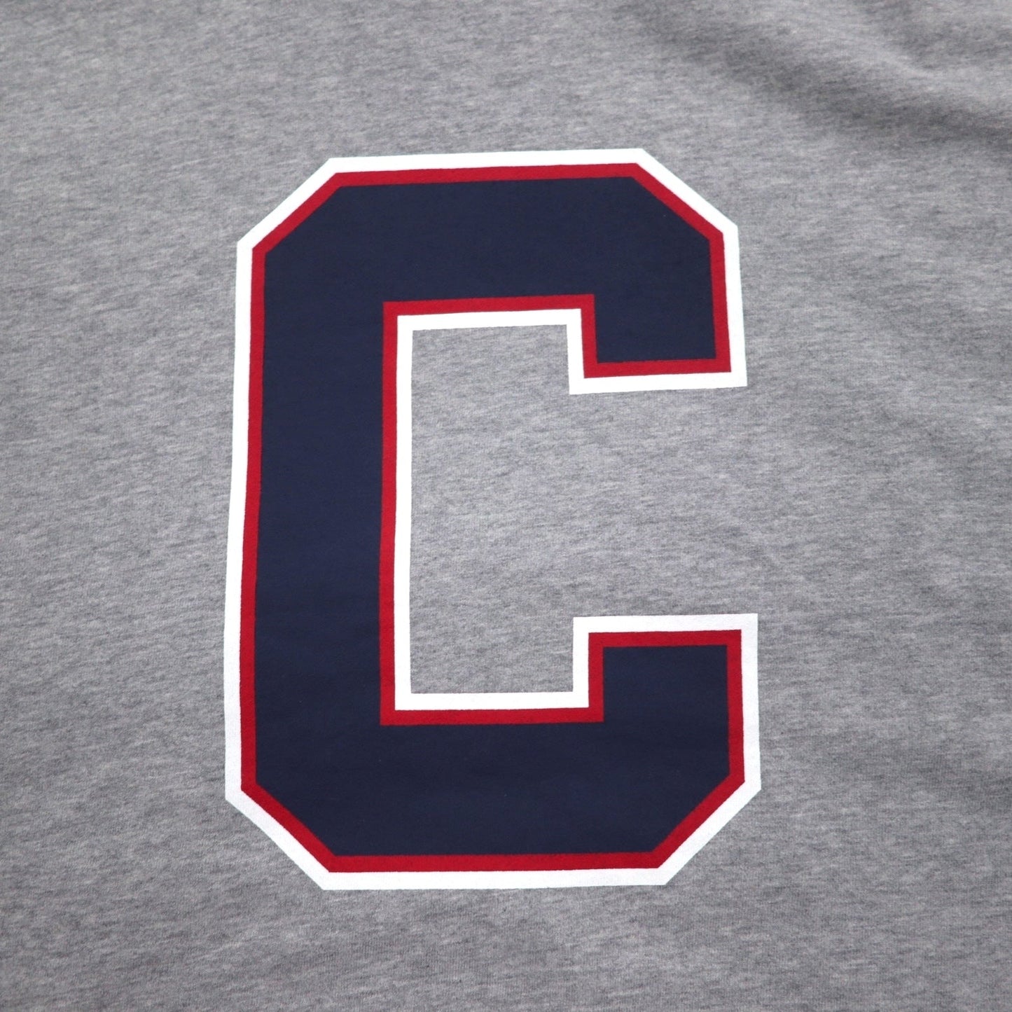 Champion プルオーバー パーカー XL グレー コットン バックプリント CORTLAND C8-U112
