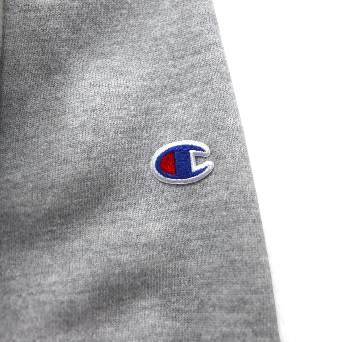 Champion リバースウィーブ REVERSE WEAVE スウェット XL プリント 青単タグ 復刻 THOMAS DANCE STUDIO