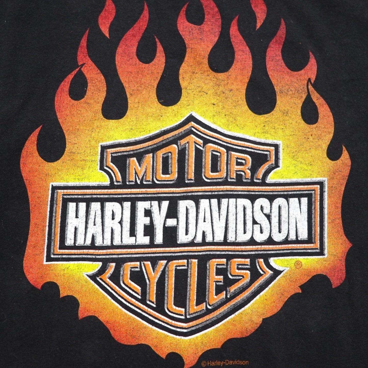 HARLEY DAVIDSON USA製 DELTA ボディ ファイヤーパターン Tシャツ 2XL ブラック ロゴプリント PRO WEIGHT