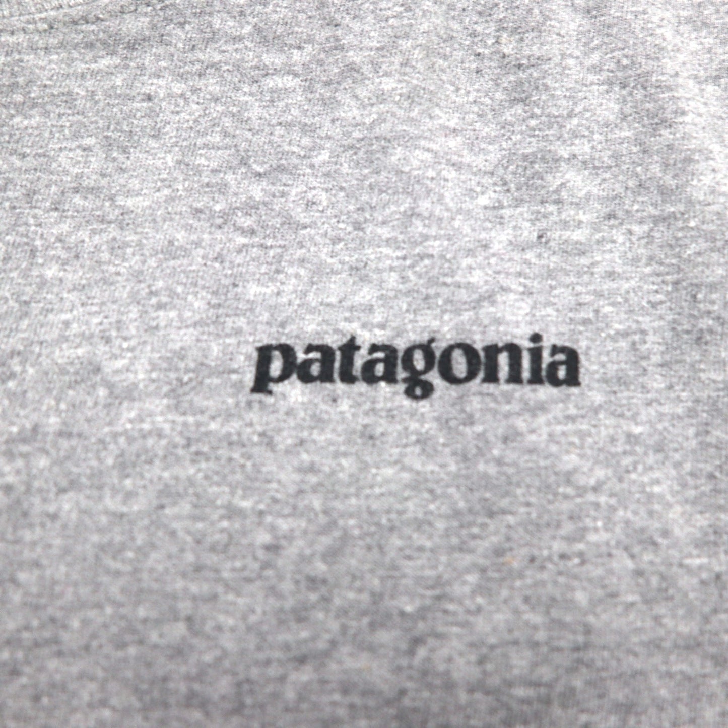 patagonia P-6 ロゴ コットン Tシャツ P-6 Logo Cotton T-Shirt 2XL グレー バックプリント 38906