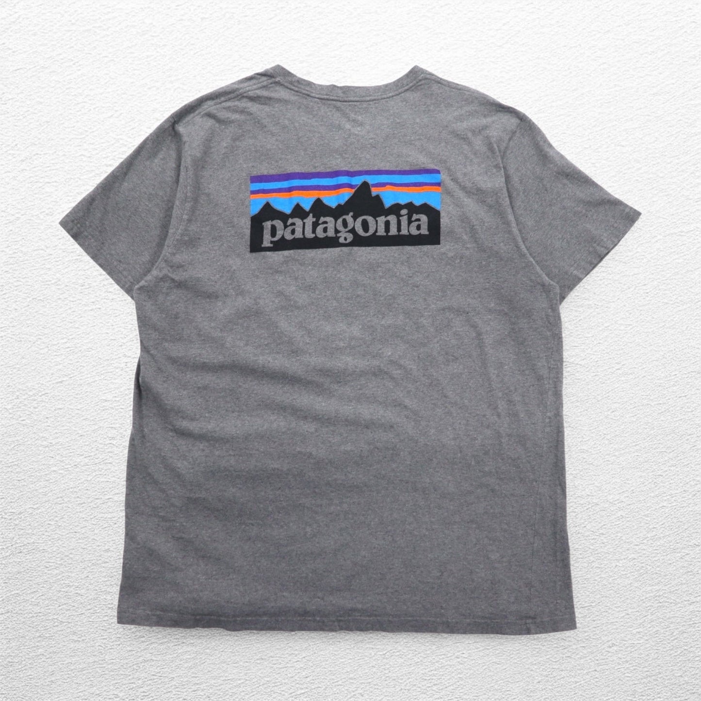 patagonia P-6 ロゴ コットン Tシャツ P-6 Logo Cotton T-Shirt 2XL グレー バックプリント 38906