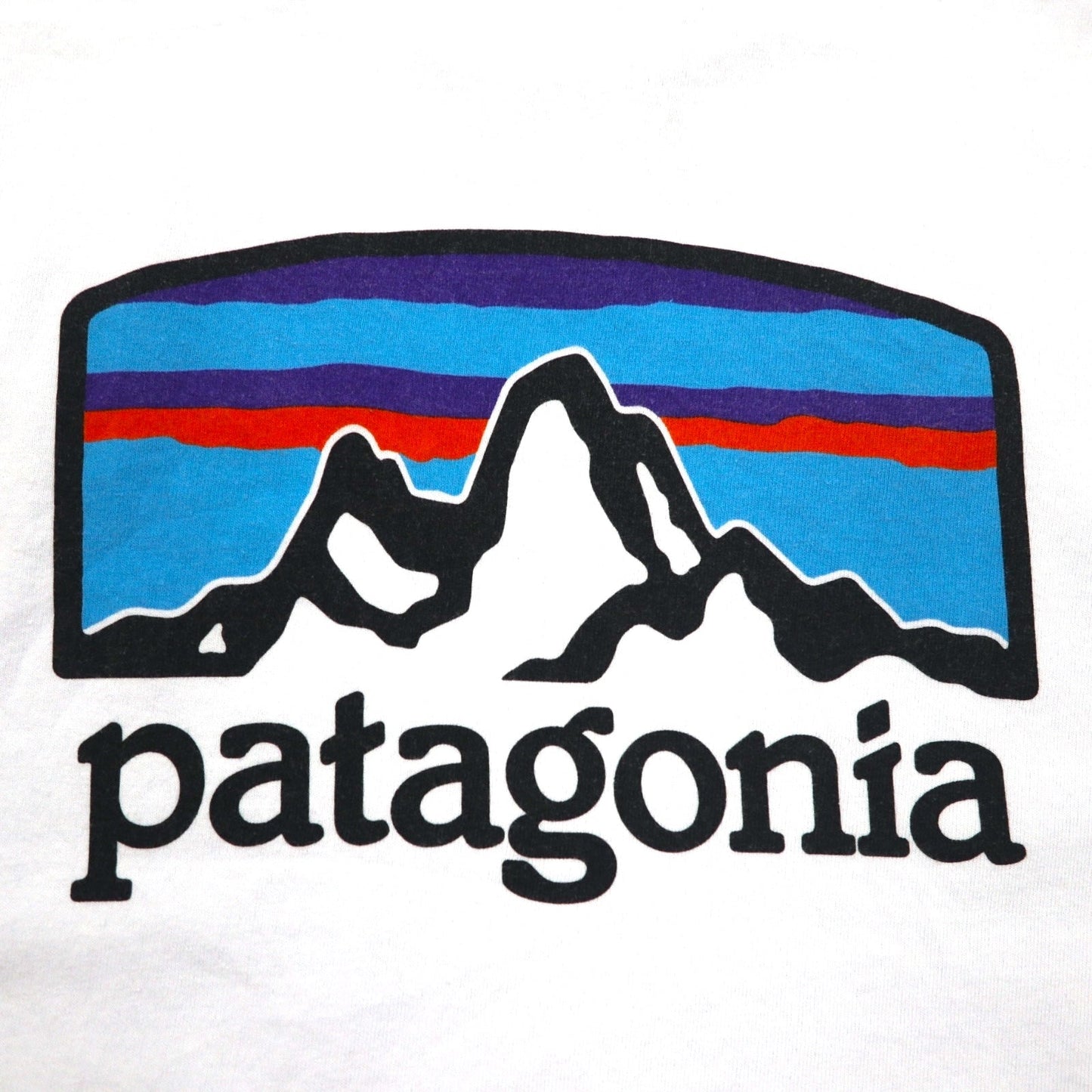 Patagonia ロイ ホライゾンズ Tシャツ ROY HORIZONS L ブルー バックロゴプリント 38501 メキシコ製
