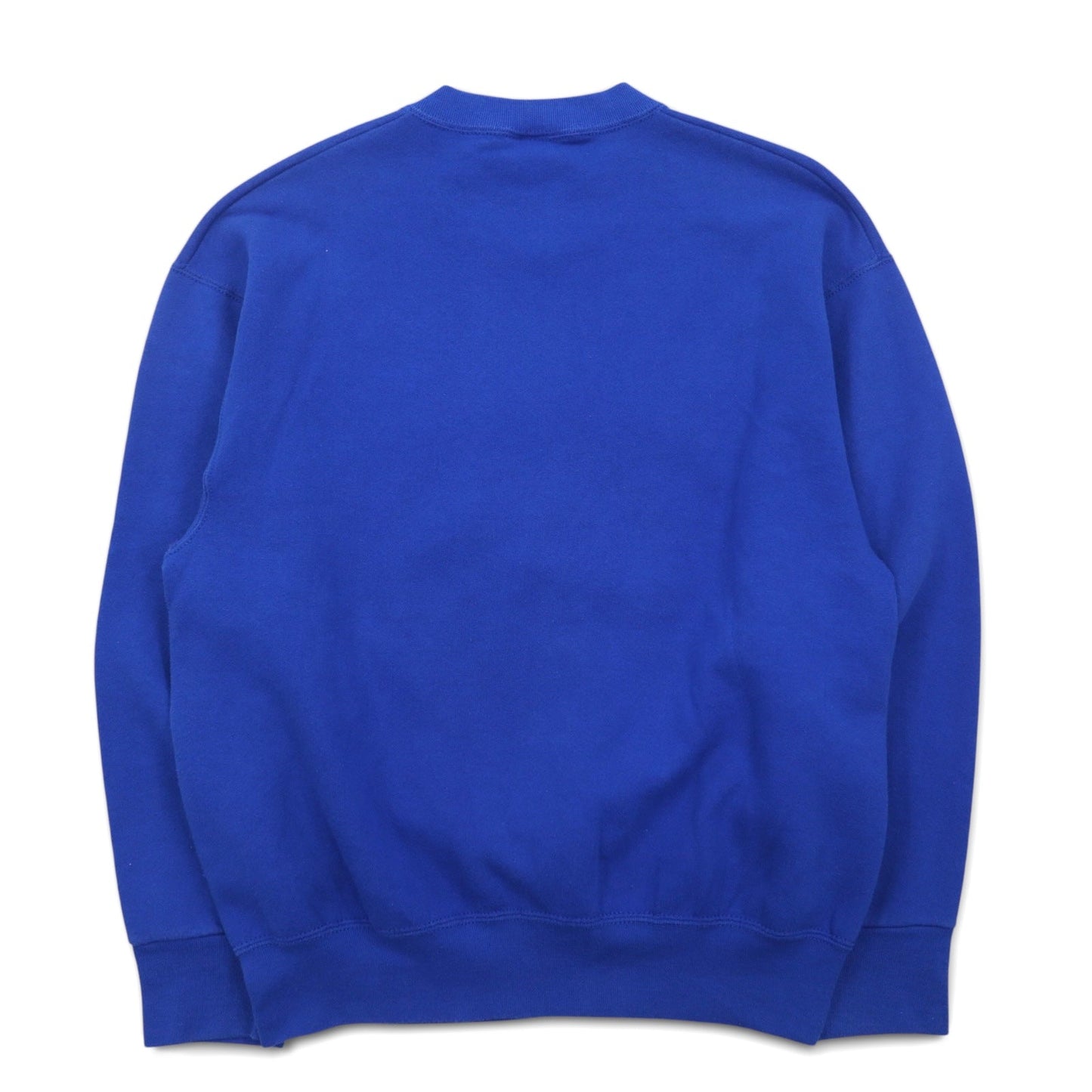 USA製 90年代 SALEM SPORTSWEAR プリント スウェット M ブルー KENTUCKY 裏起毛