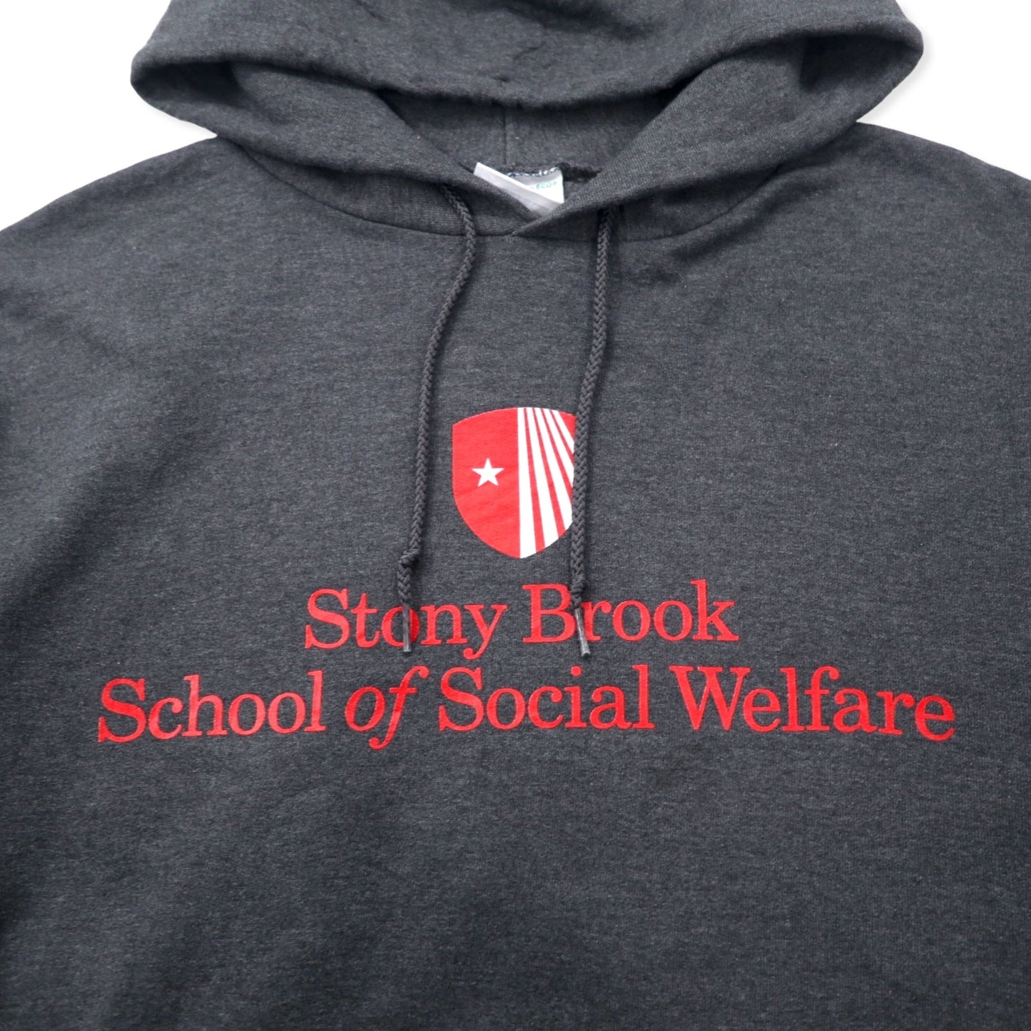 Champion ECO カレッジ プルオーバーパーカー L グレー コットン 裏起毛 Stony Brook School of Social Welfare ビッグサイズ