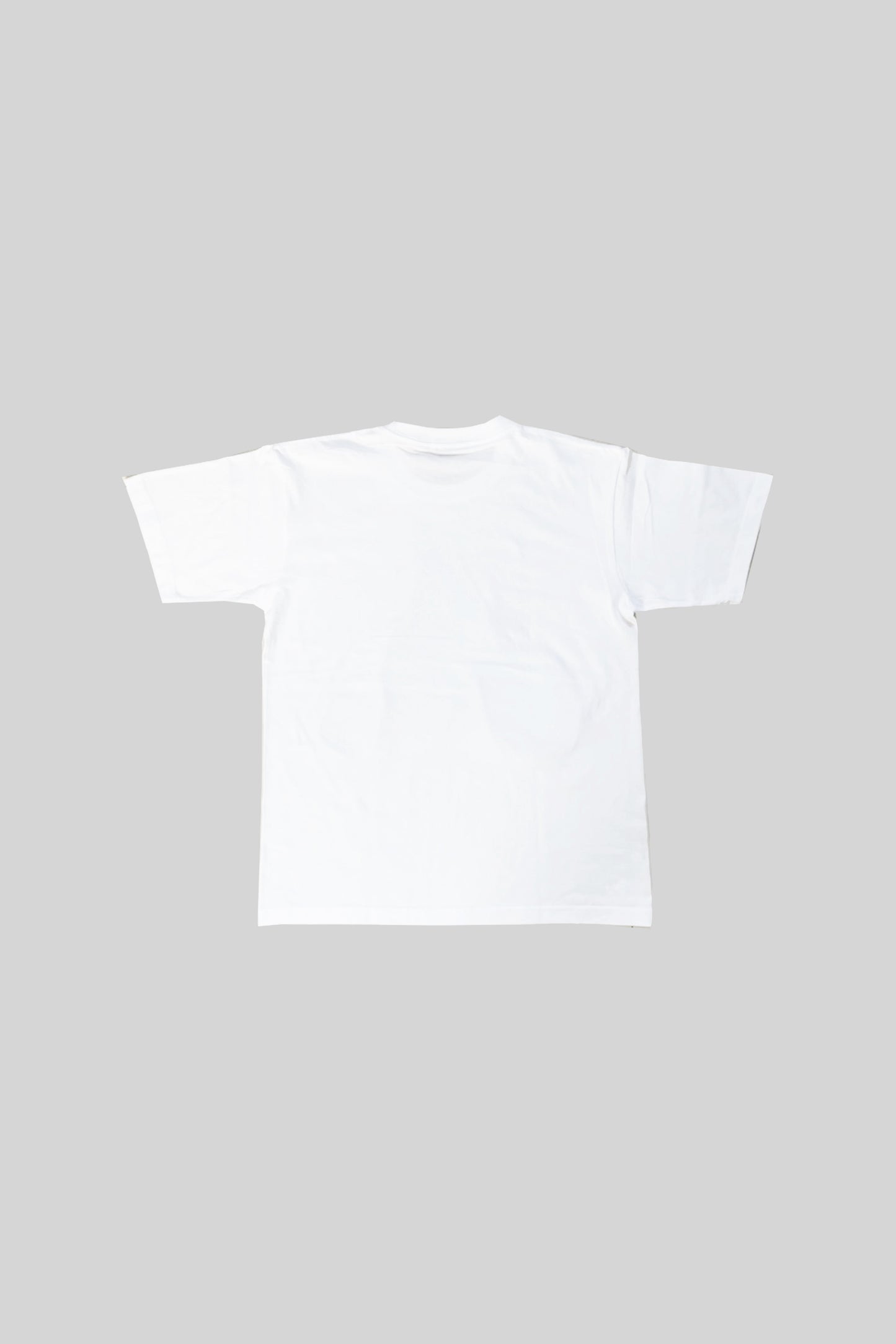 "RECYCLE" LOGO TEE(DUCK 3)