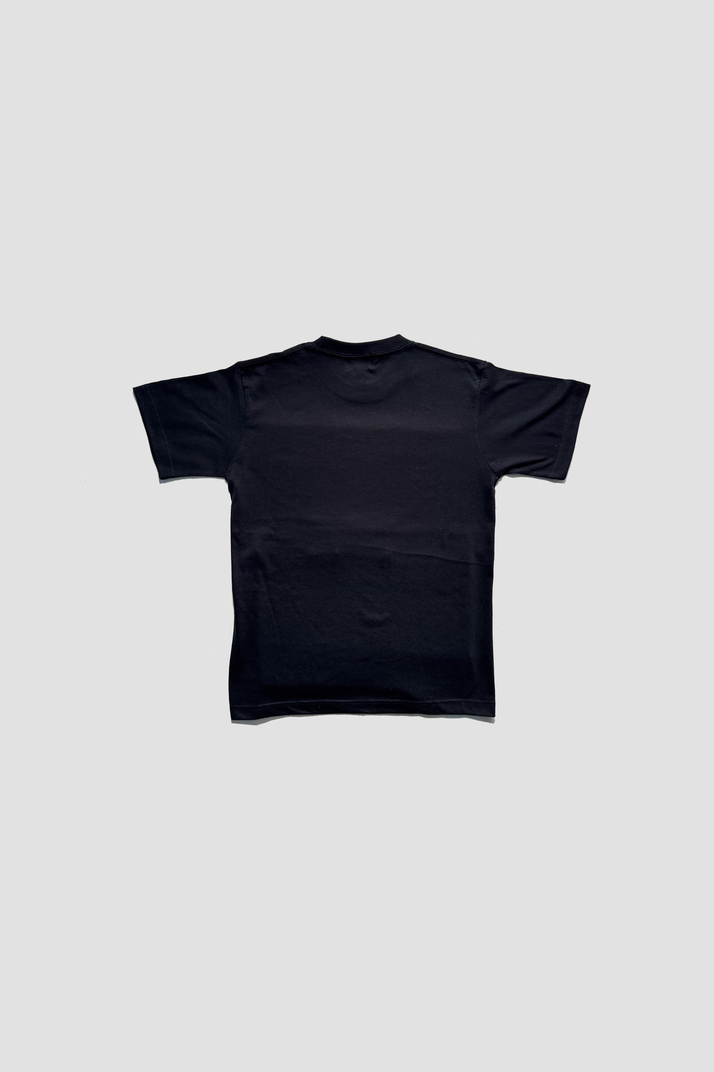 WOMAN's "A" LOGO TEE(CAMO 2)