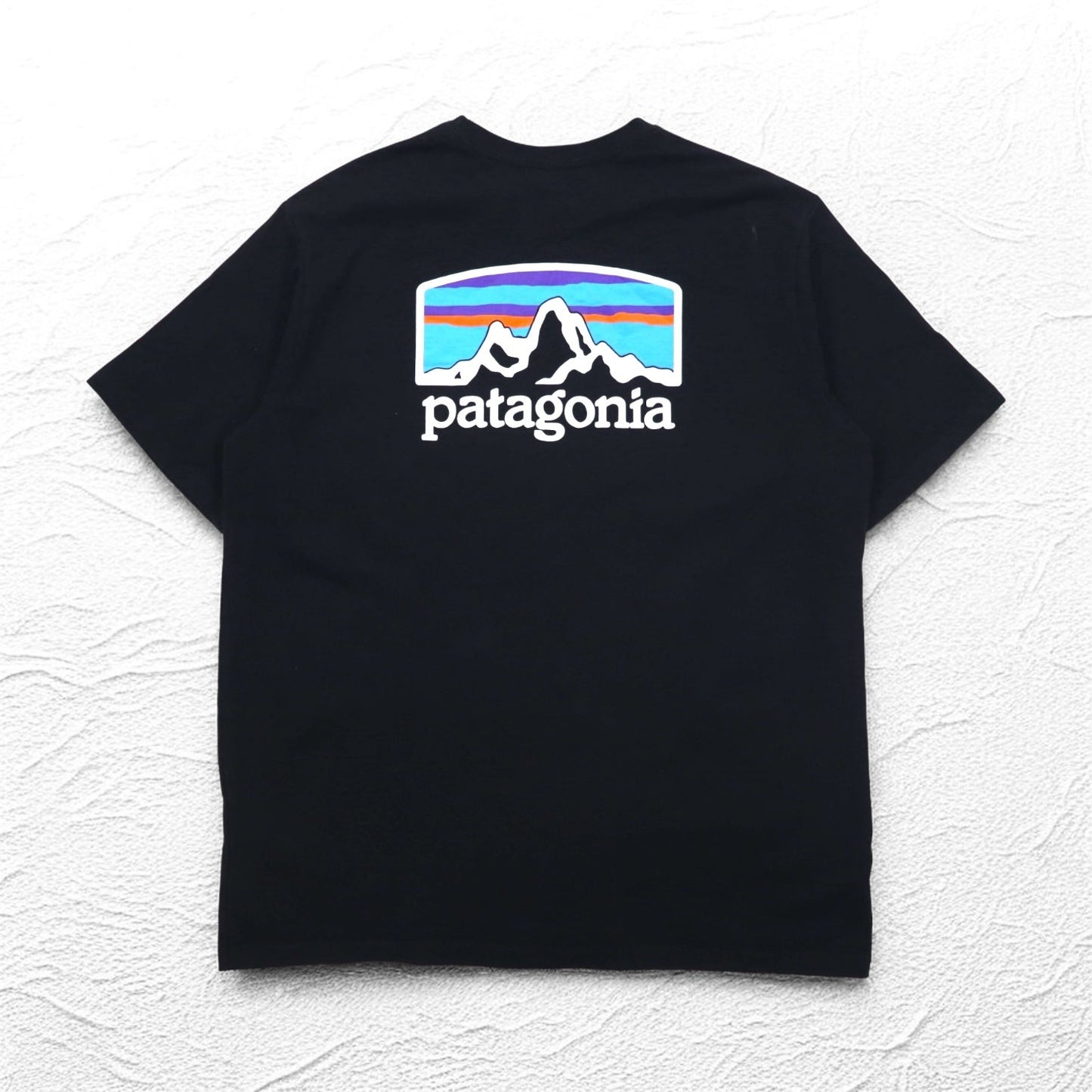 patagonia レスポンシビリティー Tシャツ Responsibill-Tee M ブラック コットン 38501 メキシコ製