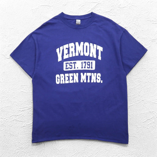 GILDAN カレッジプリント ULTRA COTTON 3段プリント Tシャツ XL ブルー アーチロゴ VERMONT GREEN MTNS