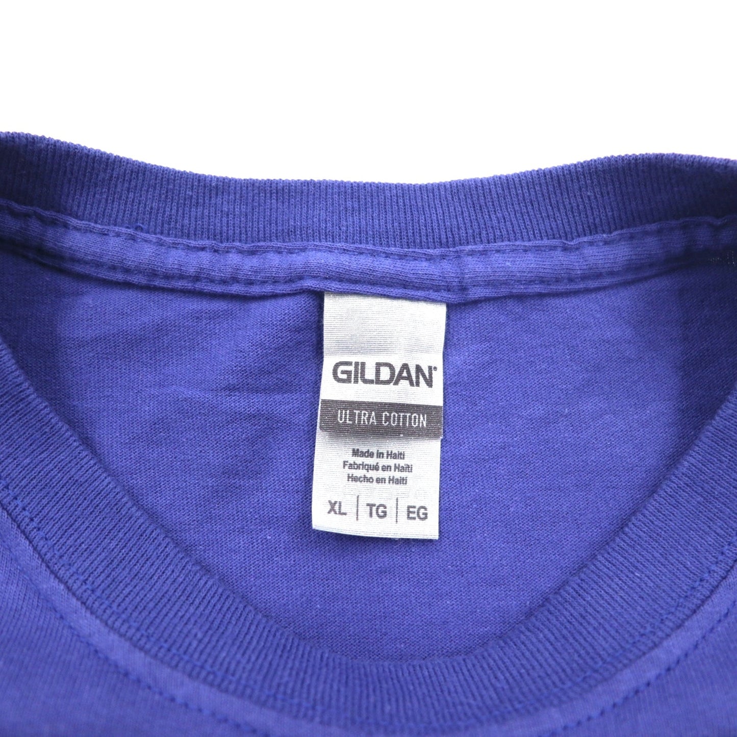 GILDAN カレッジプリント ULTRA COTTON 3段プリント Tシャツ XL ブルー アーチロゴ VERMONT GREEN MTNS