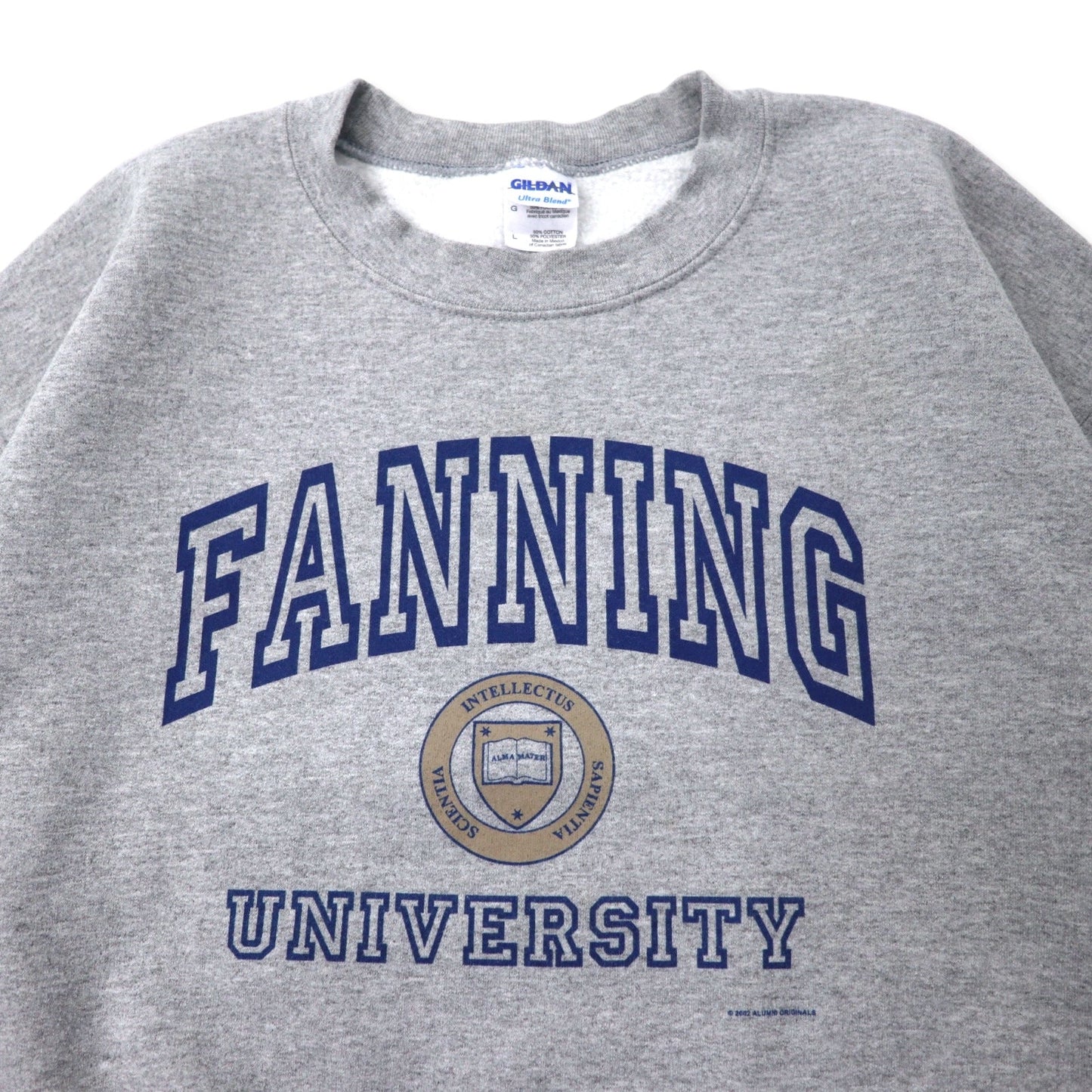 GILDAN 00年代 カレッジ プリント スウェット L グレー コットン 裏起毛 FANNING UNIVERSITY ビッグサイズ メキシコ製