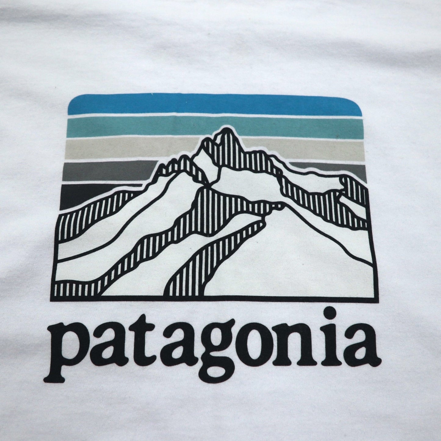 patagonia ロングスリーブ レスポンシビリティー Responsibill-Tee ロンT XXL ホワイト バックロゴプリント