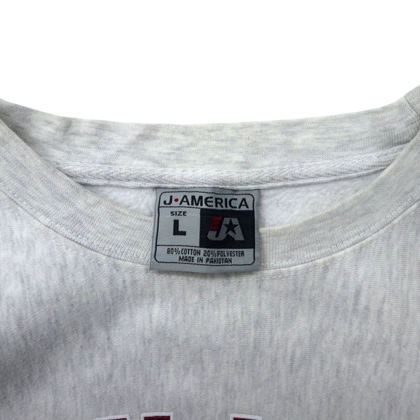 J AMERICA カレッジ プリント スウェット L グレー コットン パキ綿 GLEN LAKE MICHIGAN ビッグサイズ リバースウィーブ