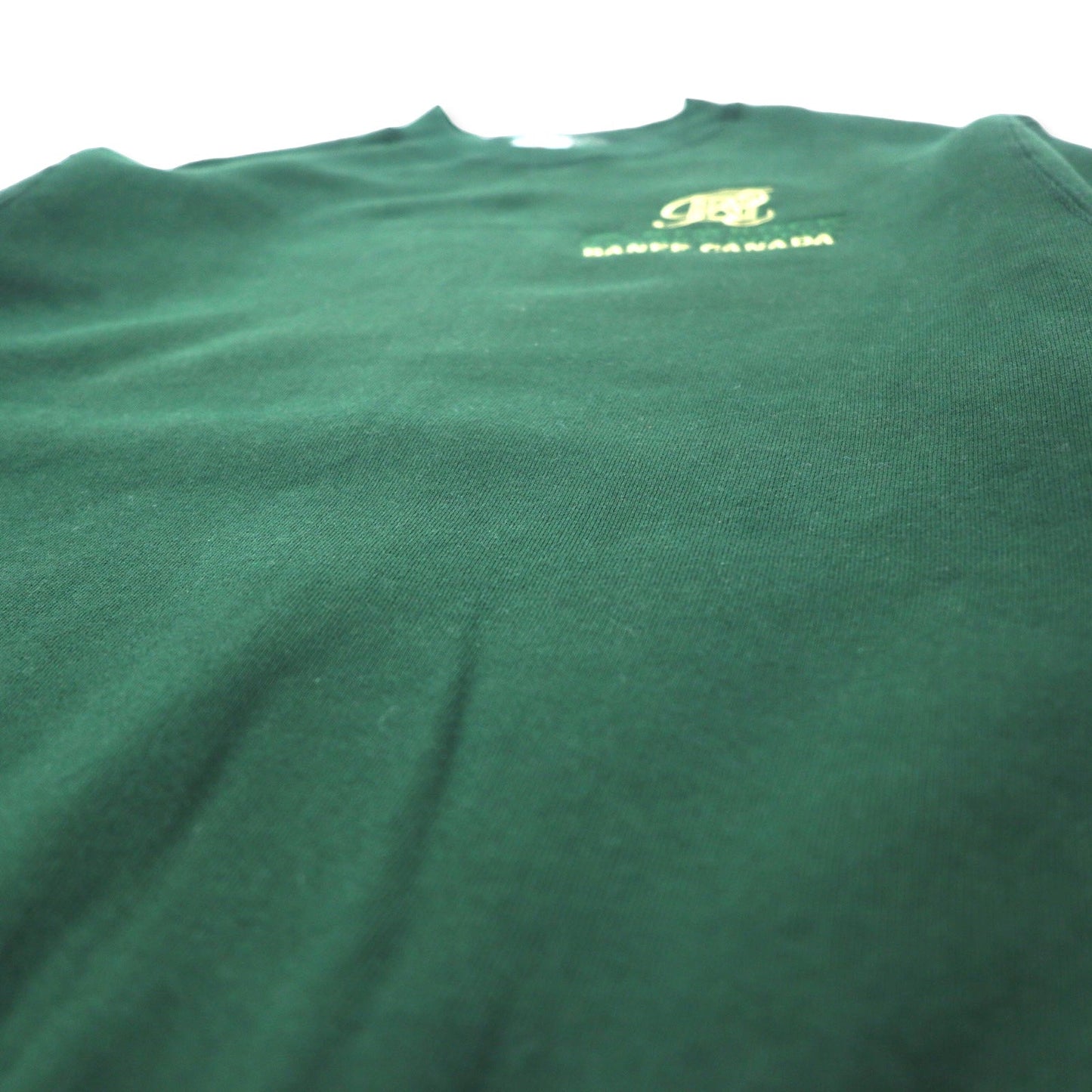 FRUIT OF THE LOOM USA製 90年代 ワンポイント 刺繍 スウェット M グリーン コットン 裏起毛 BANFF CANADA