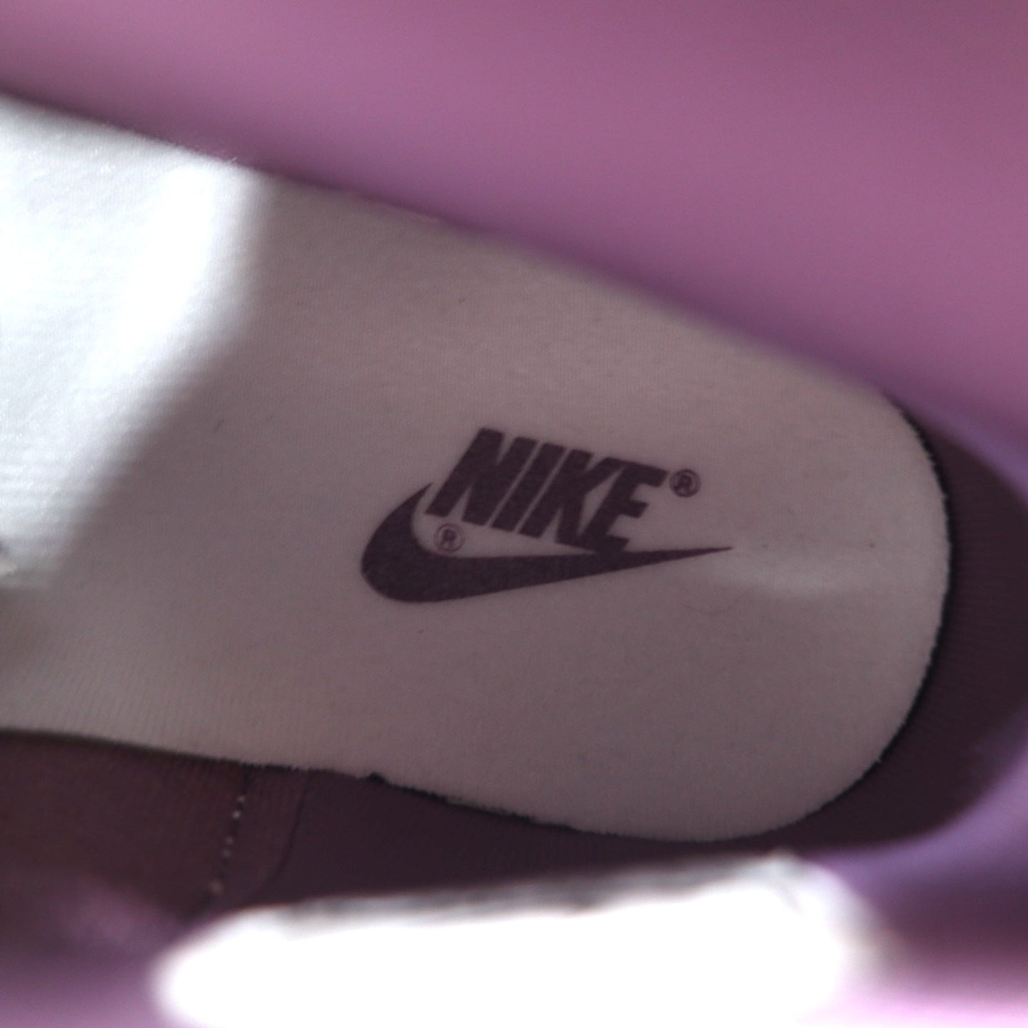 NIKE ダンク ハイ レトロ DUNK HIGH RETRO ハイカット スニーカー 28.5cm バイオレット ダスト Violet Dust 846813-500