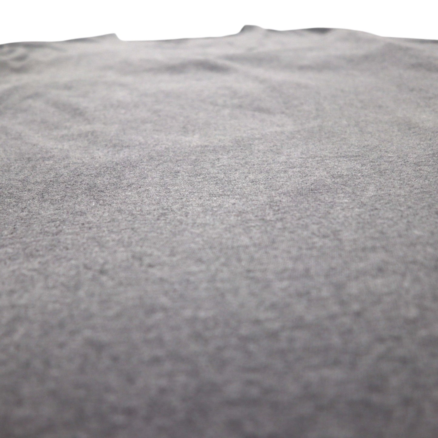 patagonia P-6 ロゴ コットン Tシャツ P-6 Logo Cotton T-Shirt 2XL グレー バックプリント 38906