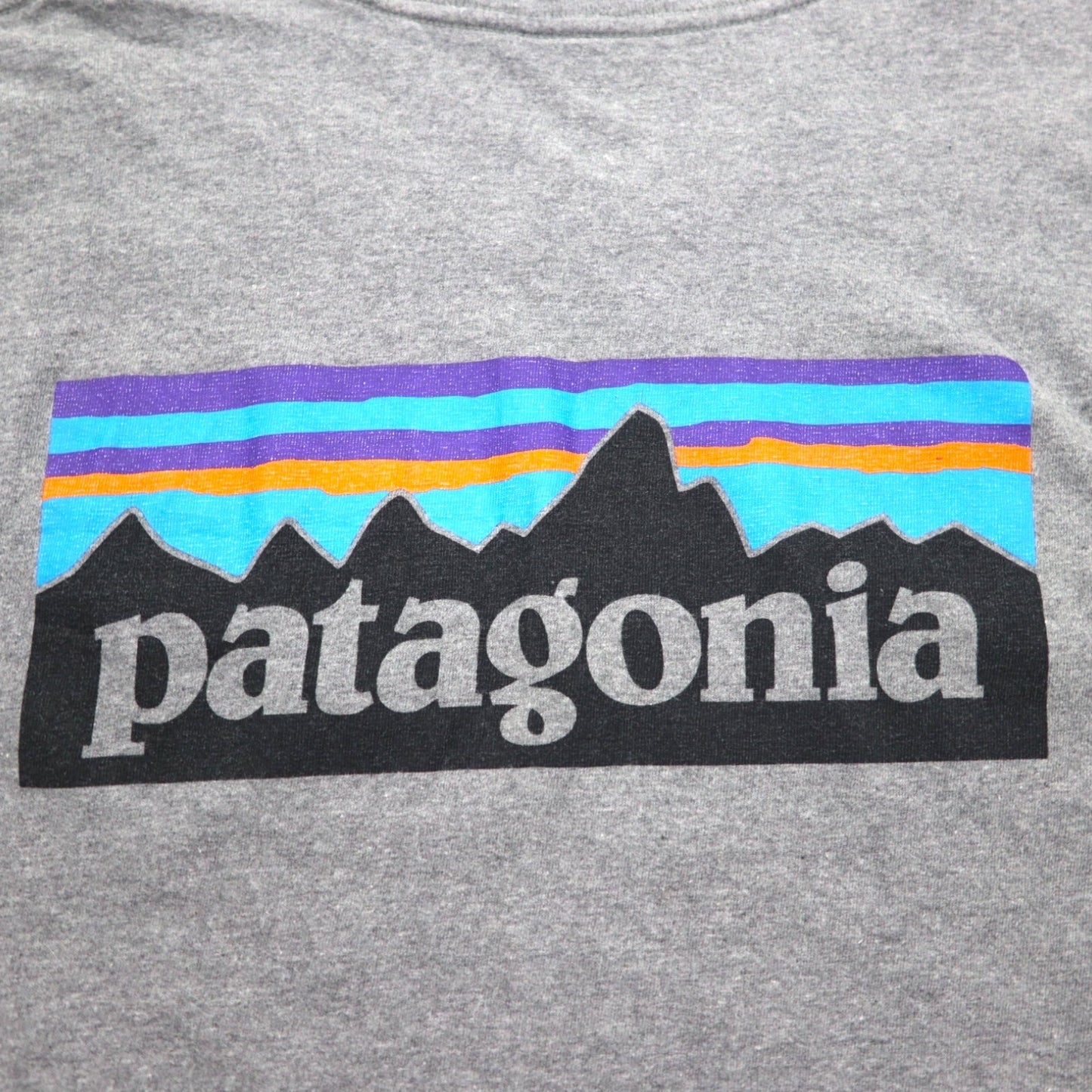 patagonia P-6 ロゴ コットン Tシャツ P-6 Logo Cotton T-Shirt 2XL グレー バックプリント 38906