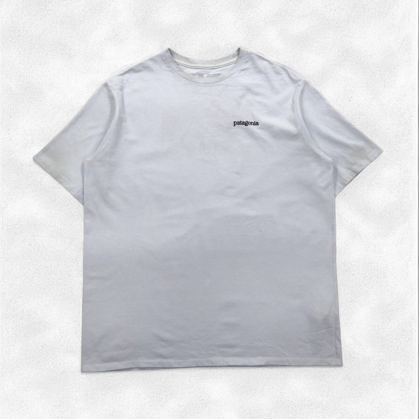 Patagonia ロイ ホライゾンズ Tシャツ ROY HORIZONS L ブルー バックロゴプリント 38501 メキシコ製