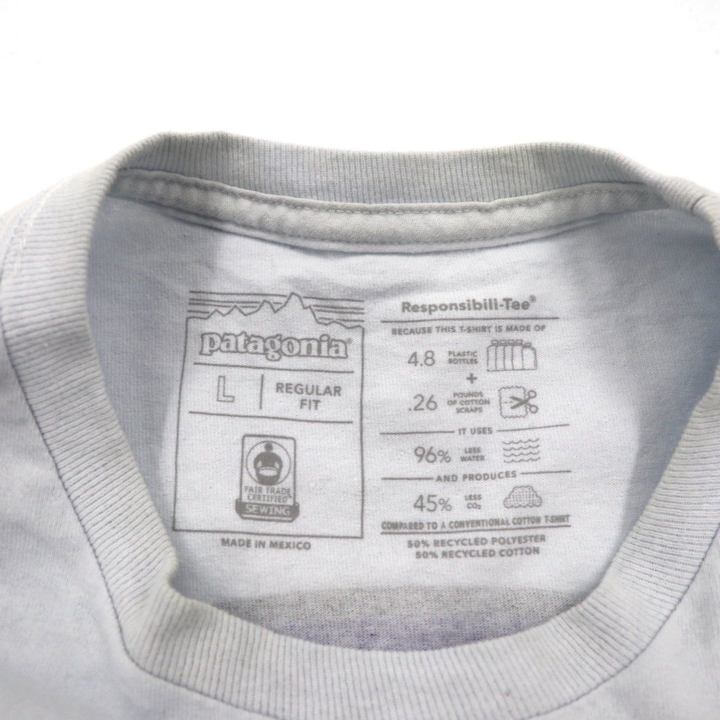 Patagonia ロイ ホライゾンズ Tシャツ ROY HORIZONS L ブルー バックロゴプリント 38501 メキシコ製