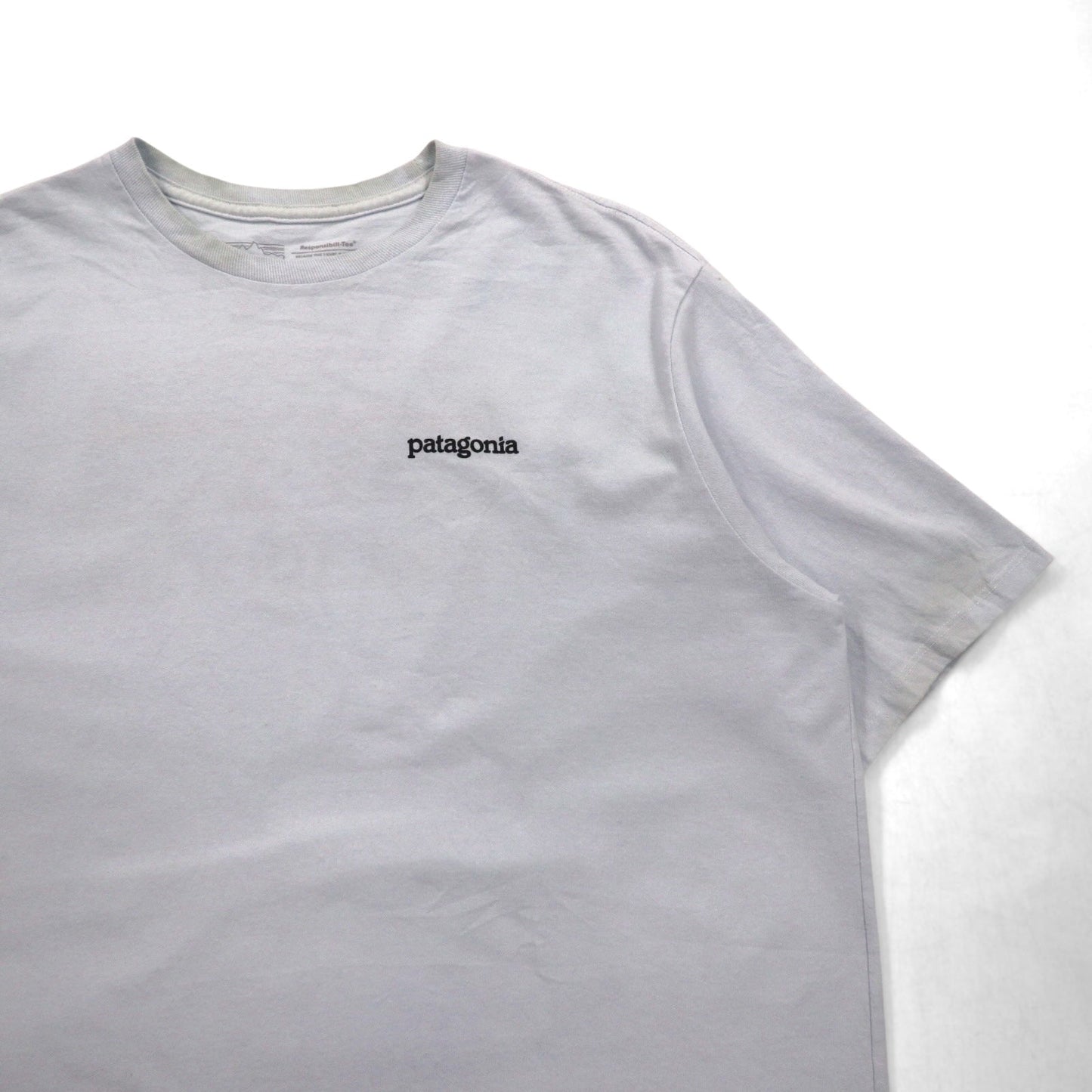 Patagonia ロイ ホライゾンズ Tシャツ ROY HORIZONS L ブルー バックロゴプリント 38501 メキシコ製