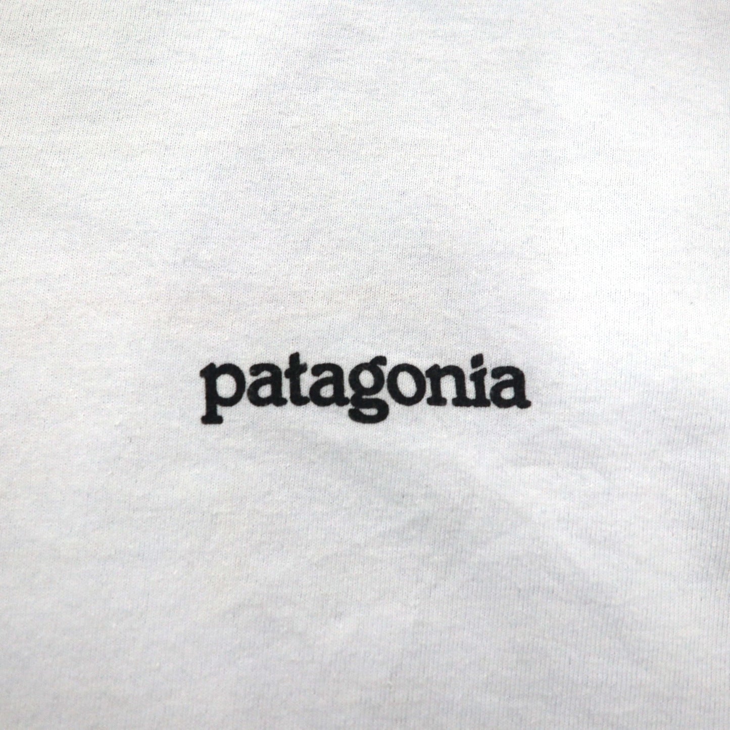 Patagonia ロイ ホライゾンズ Tシャツ ROY HORIZONS L ブルー バックロゴプリント 38501 メキシコ製