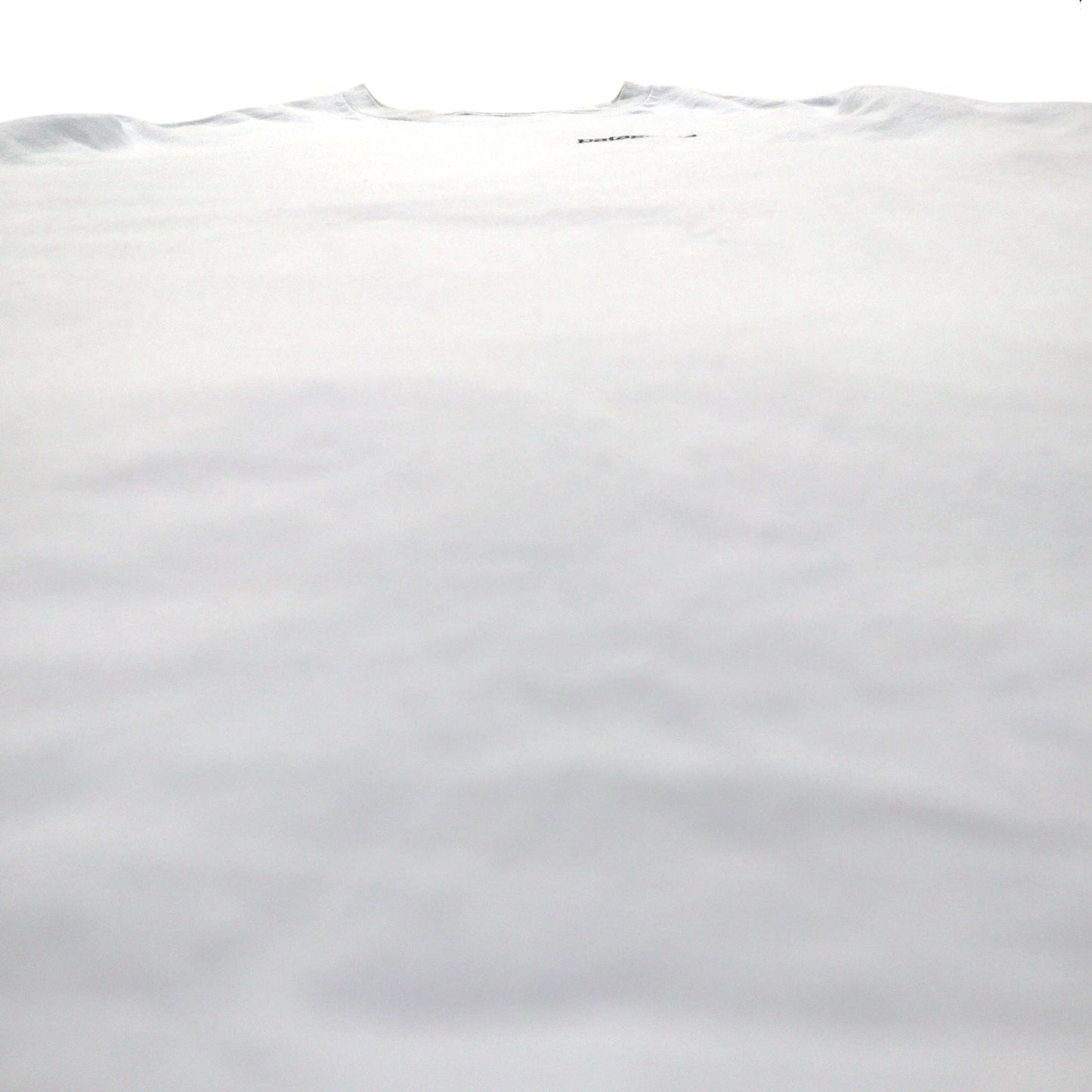 Patagonia ロイ ホライゾンズ Tシャツ ROY HORIZONS L ブルー バックロゴプリント 38501 メキシコ製