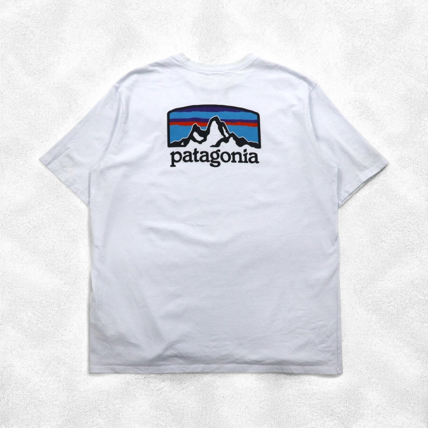 Patagonia ロイ ホライゾンズ Tシャツ ROY HORIZONS L ブルー バックロゴプリント 38501 メキシコ製