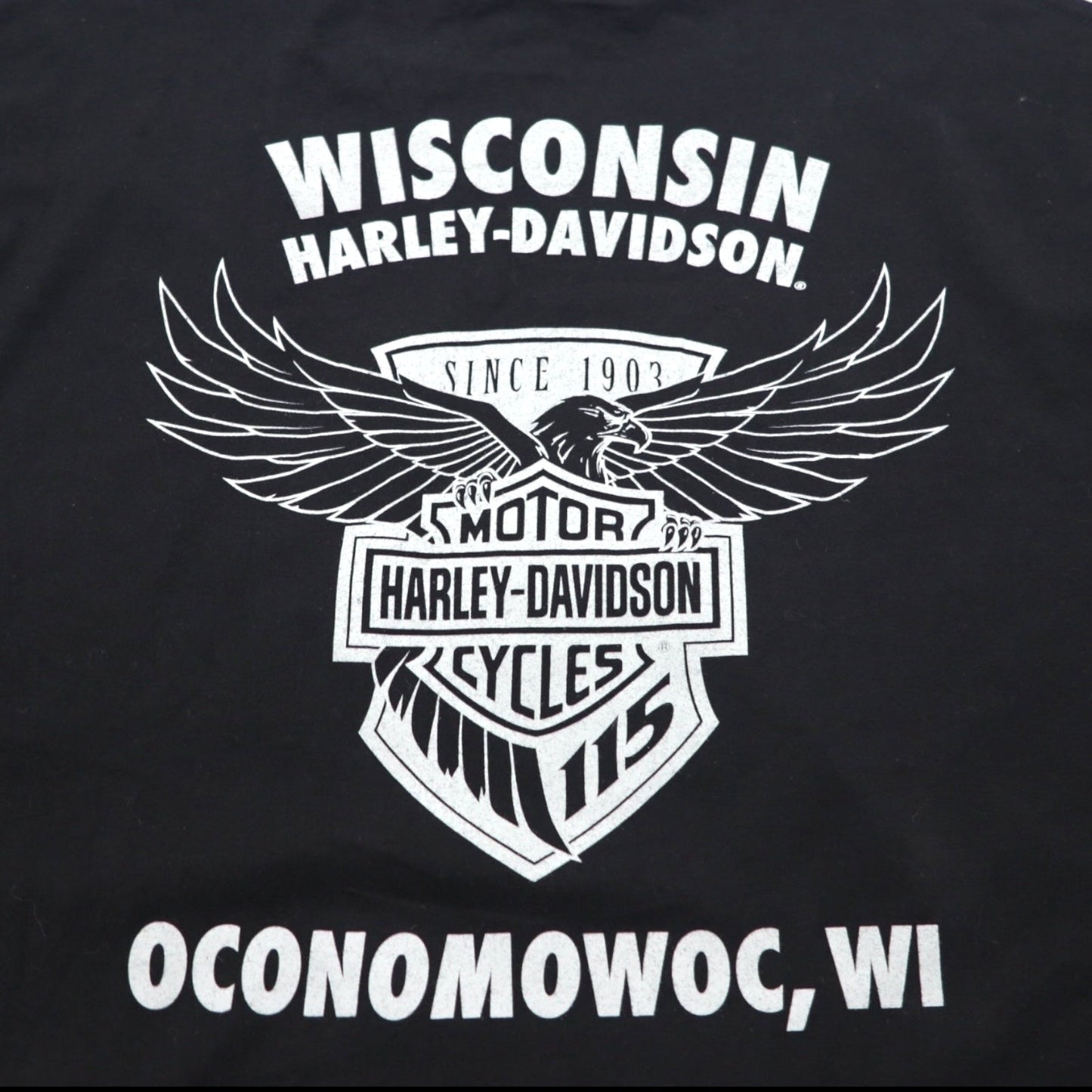 HARLEY DAVIDSON 両面プリント Vネック Tシャツ 2XL ブラック バイク WISCONSIN