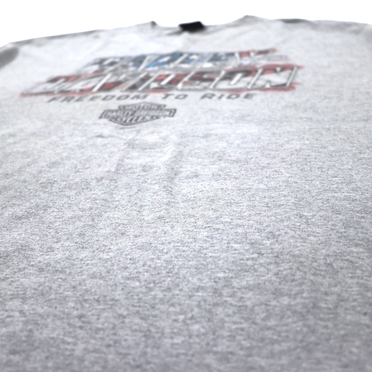 HARLEY DAVIDSON USA製 ロゴプリント Tシャツ 2XL グレー コットン LEESBURG-FLORIDA