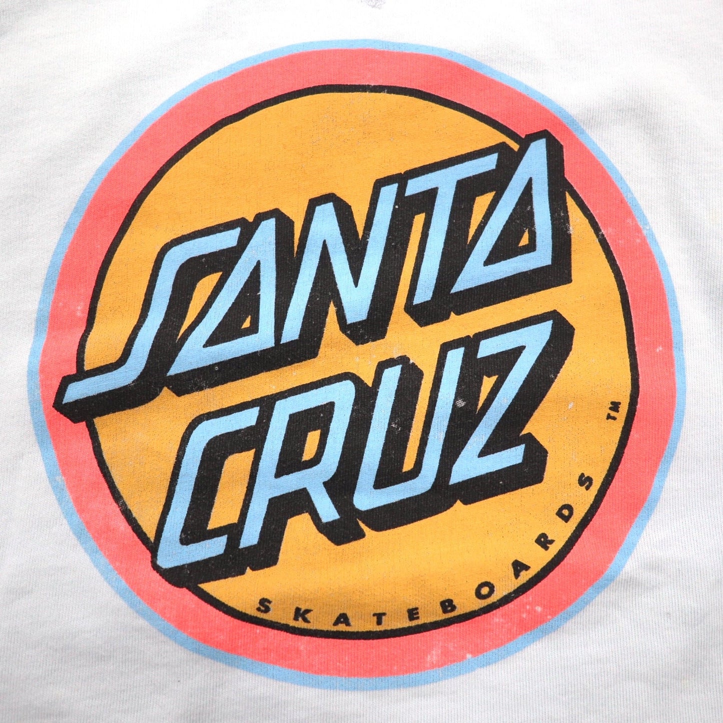 SANTA CRUZ クルーネック スウェット L ブルー コットン ロゴプリント