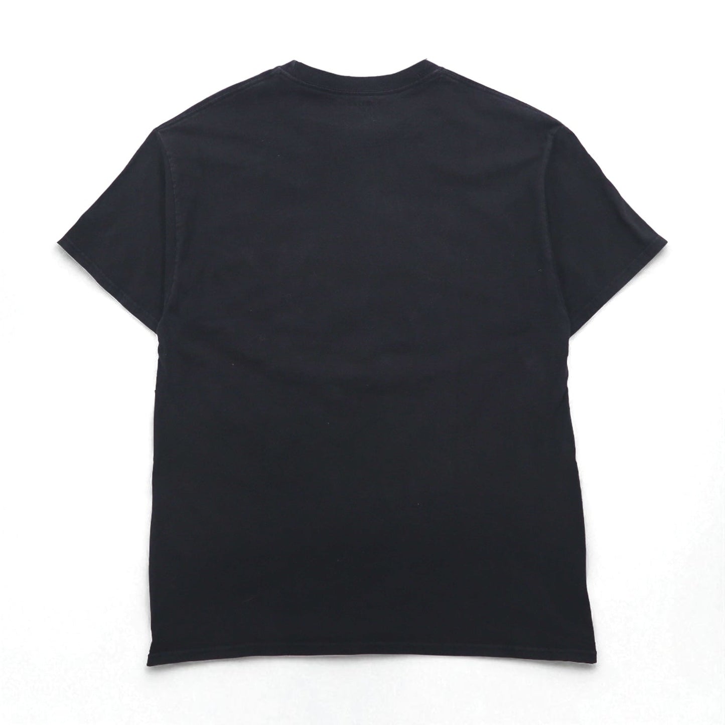 Champion カレッジプリント Tシャツ XL ブラック コットン FLORIDA STATE アーチロゴ